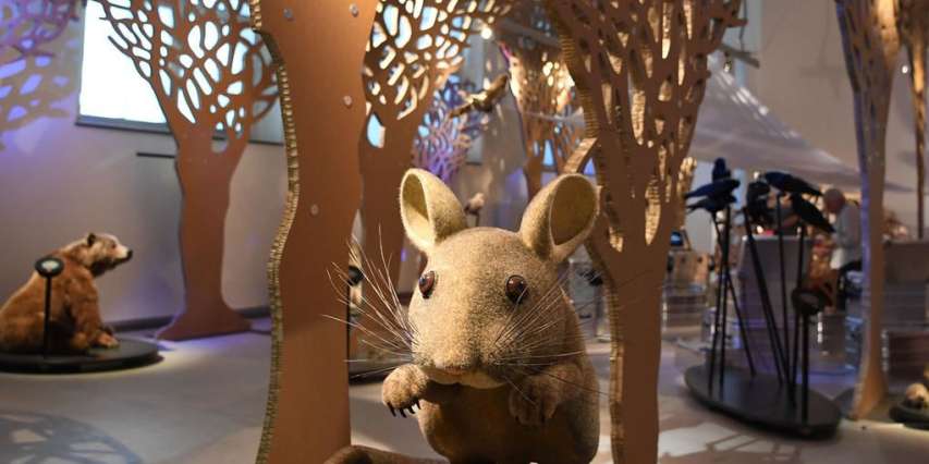 Past, Present, Future