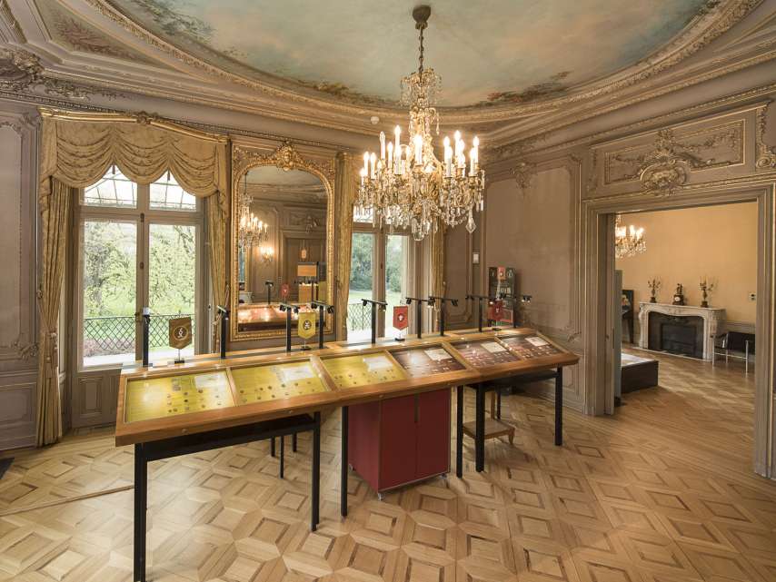 Münzkabinett und Antikensammlung